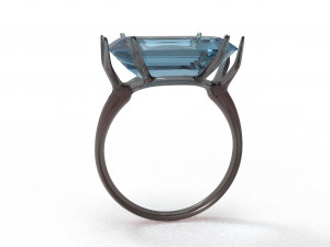 branch ring 3Dモデル