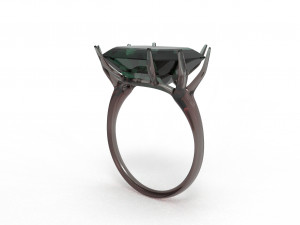 branch ring 3Dモデル
