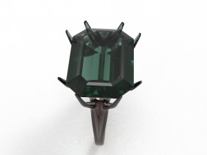 branch ring 3Dモデル