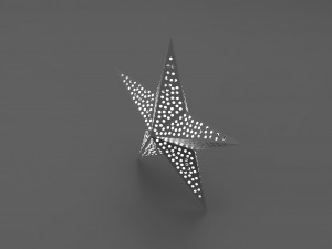 star light Model 3D