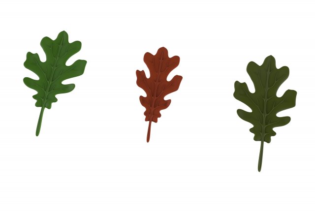 oak leaf Modelo 3D .c4d .max .obj .3ds .fbx .stl .blend 