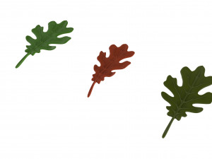 oak leaf Modelo 3D