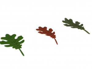 oak leaf Modelo 3D