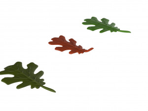 oak leaf Modelo 3D