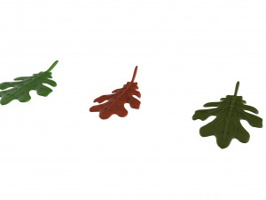 oak leaf Modelo 3D