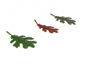 oak leaf Modelo 3D