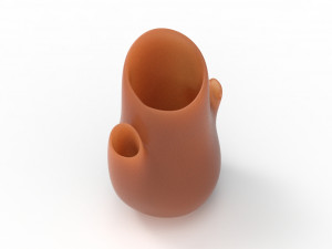organic vase Modèle 3D
