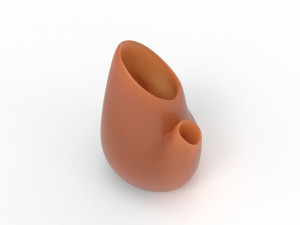 organic vase Modèle 3D