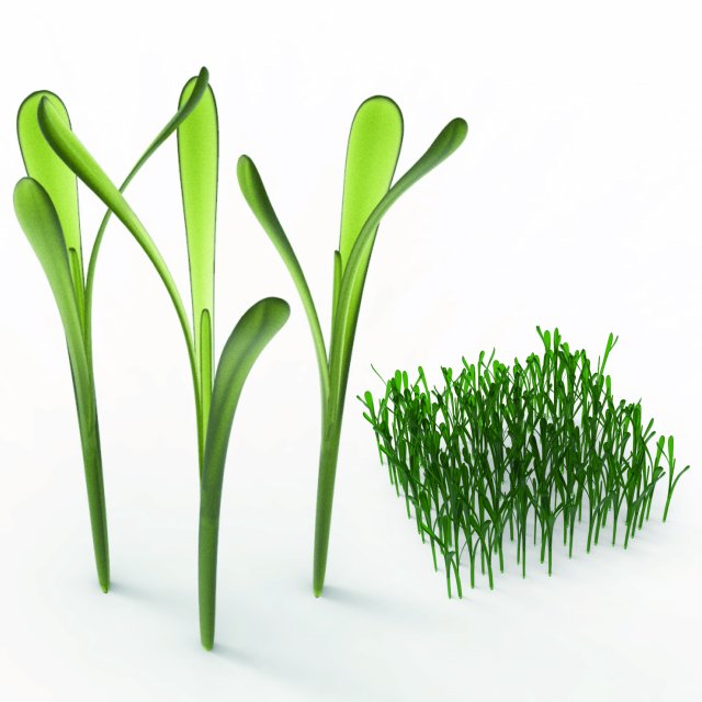 Grass 3Dモデル .c4d .max .obj .3ds .fbx .stl .blend 