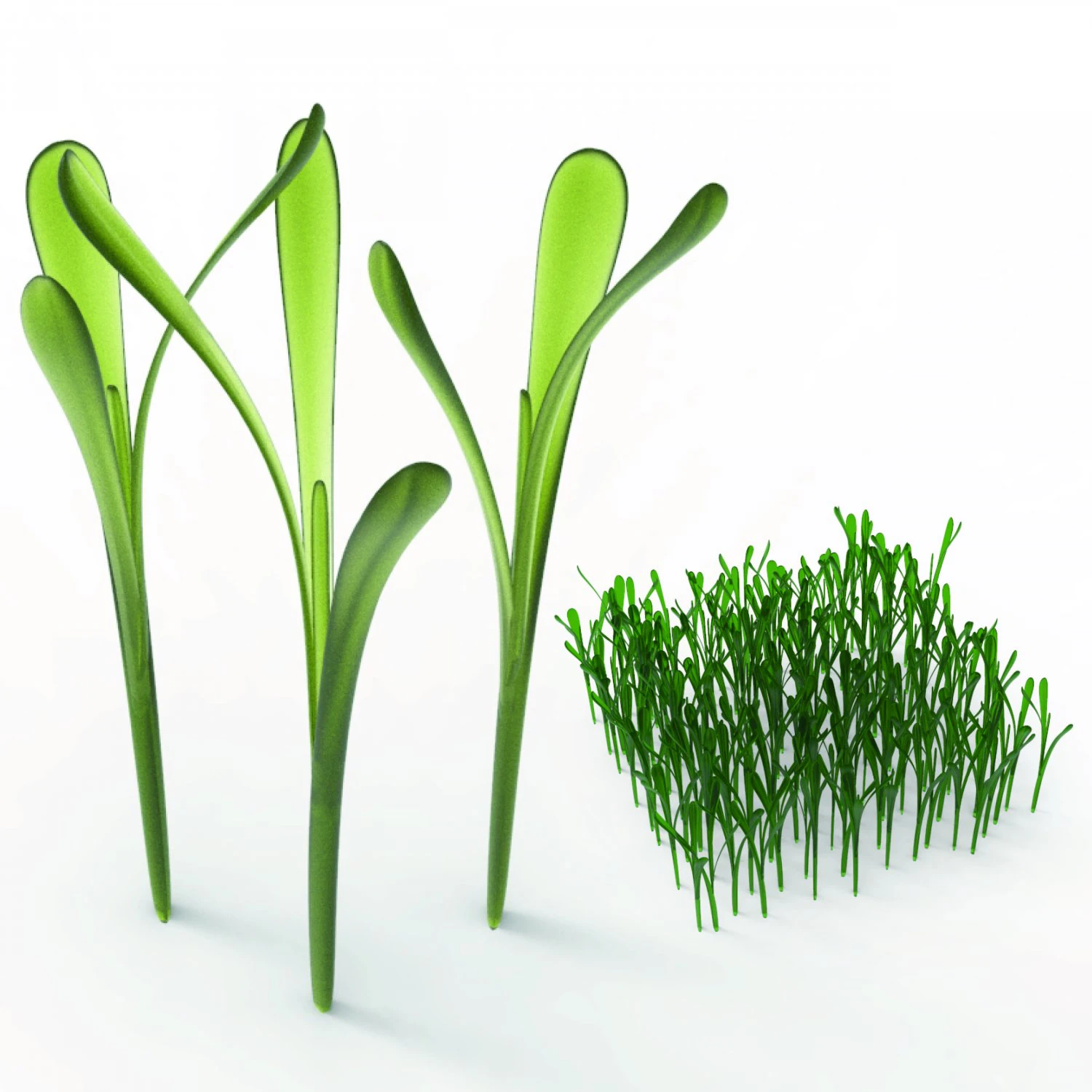 Grass 3D Model .c4d .max .obj .3ds .fbx .stl .blend 