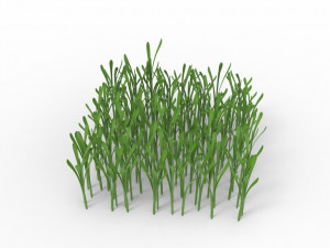 Grass 3Dモデル