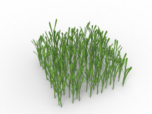 Grass 3Dモデル