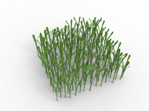Grass 3Dモデル