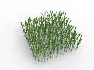 Grass 3D Model