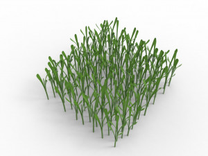 Grass 3Dモデル