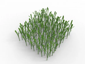 Grass 3D Model
