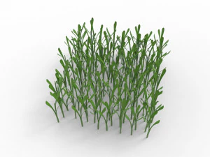 Grass 3D Model