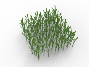 Grass 3Dモデル