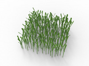 Grass 3Dモデル