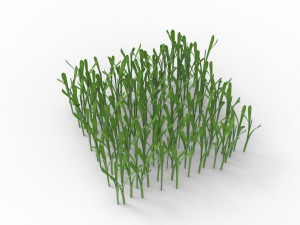 Grass 3Dモデル
