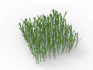 Grass 3D Model