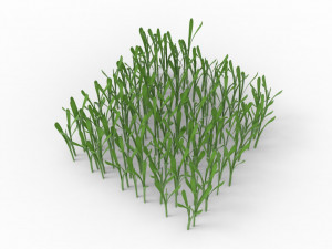 Grass 3Dモデル