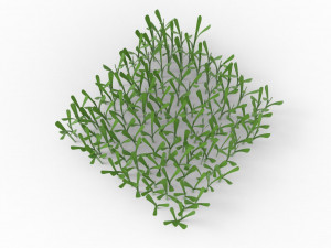 Grass 3Dモデル