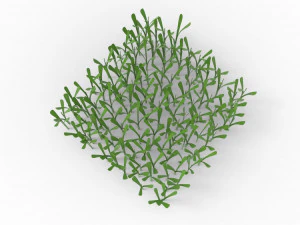 Grass 3D Model