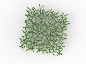 Grass 3Dモデル