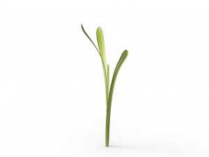 Grass 3Dモデル