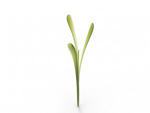 Grass 3Dモデル