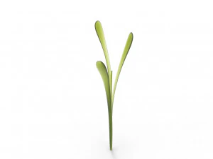 Grass 3D Model