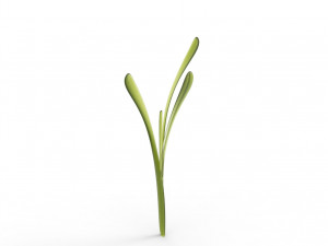 Grass 3Dモデル