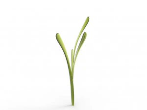 Grass 3D Model