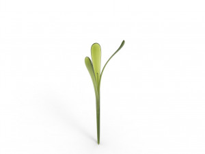 Grass 3Dモデル