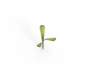 Grass 3D Model