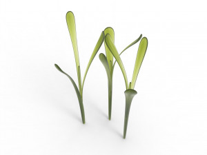 Grass 3Dモデル
