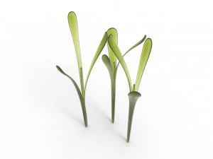 Grass 3D Model
