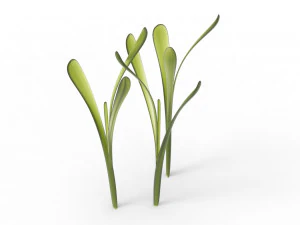 Grass 3D Model