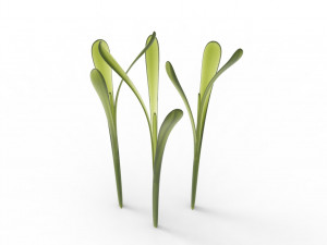 Grass 3Dモデル