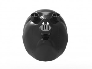 Bols mask akame ga kill Modelo 3D