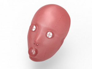 Bols mask akame ga kill Modelo 3D
