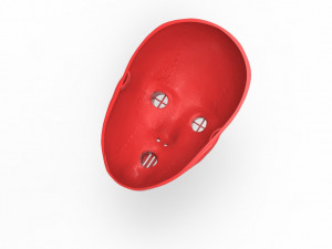 Bols mask akame ga kill Modelo 3D