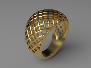 Cribriform ring 3D Print Model
