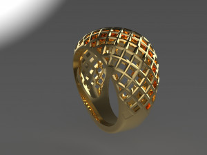 Cribriform ring Modelo de impresión 3D