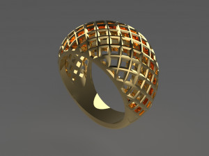 Cribriform ring Modelo de impresión 3D