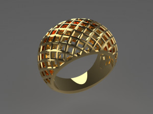 Cribriform ring Modelo de impresión 3D