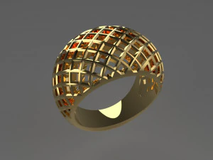 anillo cribiforme Modelo de impresión 3D