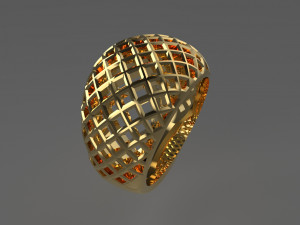 Cribriform ring Modelo de impresión 3D