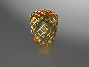 Cribriform ring Modelo de impresión 3D